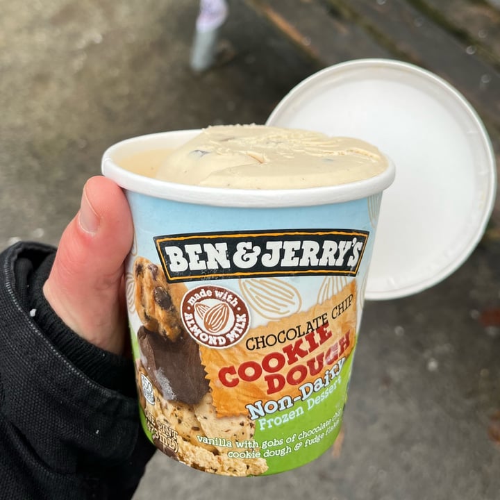 Ben and Jerry’s chocolate chip cookie dough non dairy Review abillion