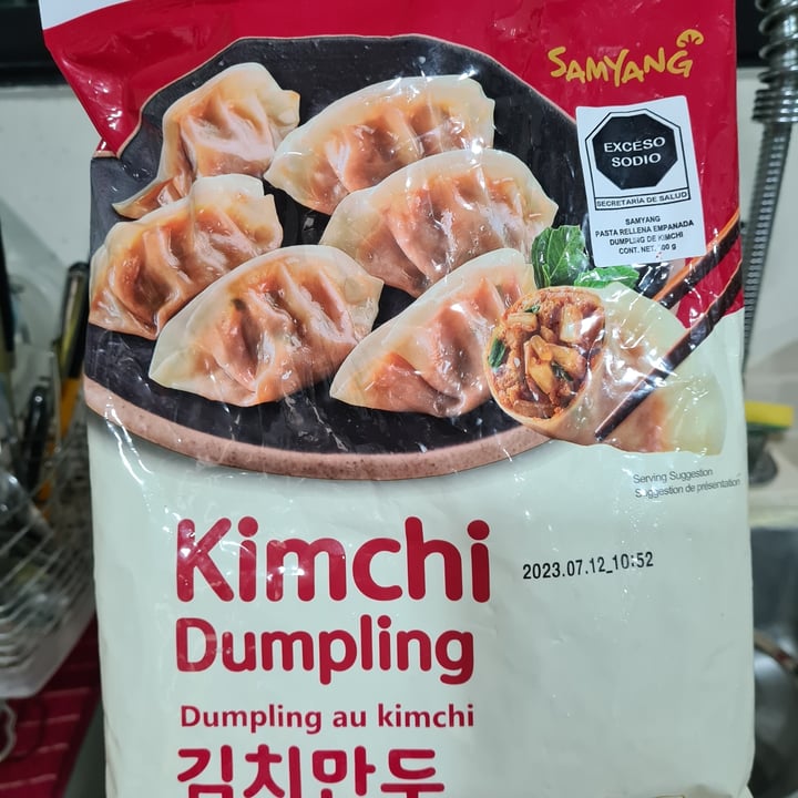 Samyang Foods Kimchi Dumpling Review abillion