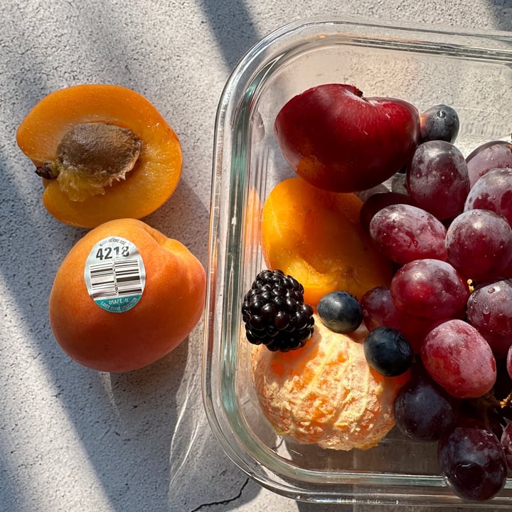 Jerry’s Fruit & Garden Center Apricots Review abillion