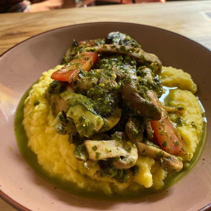 Seitan Urban Bistro Champiñones y Zucchini Reviews abillion