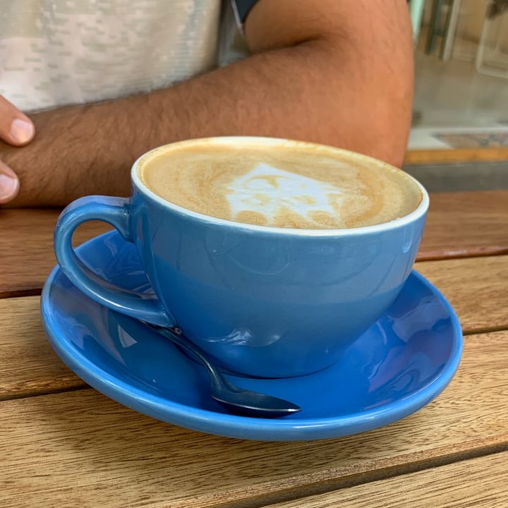 Ruta Jardín Café Latte Reviews abillion