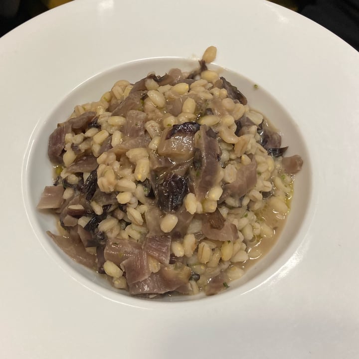 La Vecchia Latteria Milano Farrotto Con Radicchio Reviews abillion