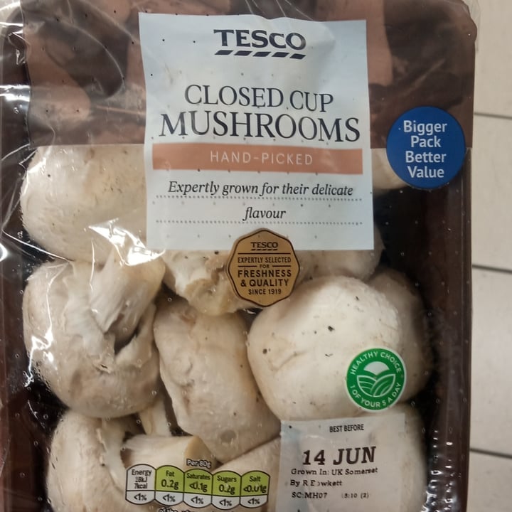 Tesco Flat Mushroom Review abillion
