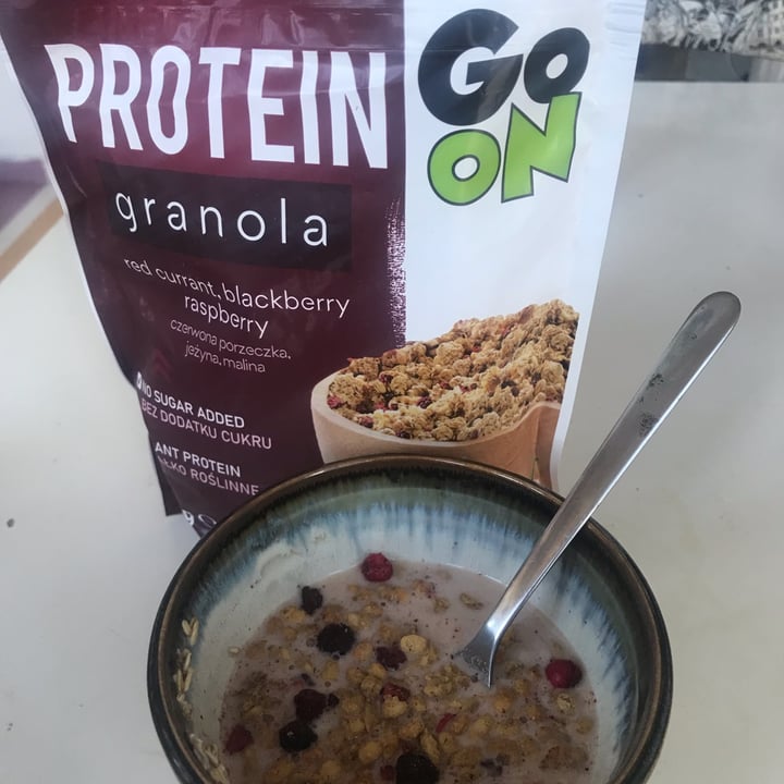 protein go on granola granola Review | abillion