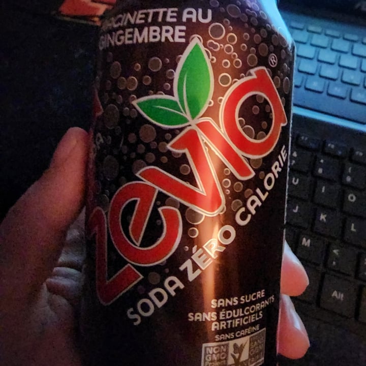 Zevia Ginger Root Beer Review abillion