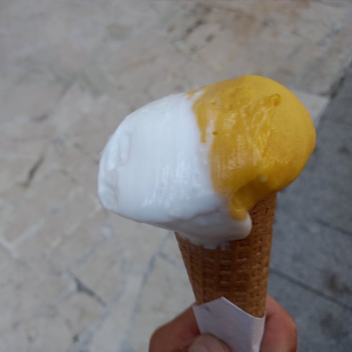 Vanilla Prelibata Gelateria Legnano, Italy Gelato Al Mango Review