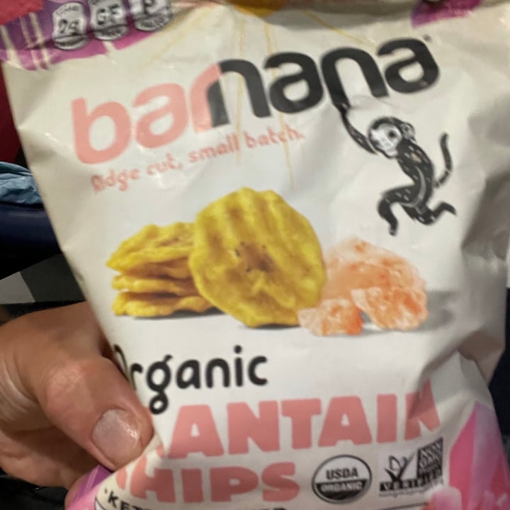 Barnana Organic Plantain Chips Reviews abillion