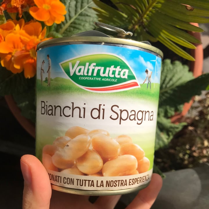 Tripla Semi Di Fagioli Bianchi (Vicia Faba) - Porzione Per 30 Piante, Varietà Classica E Robusta, Biologico - 2