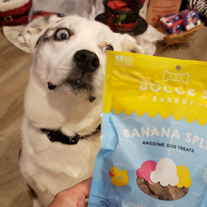 Bocce's Bakery Banana Spilt Awesome Dog Treats Reviews abillion