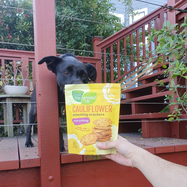 Real Food From The Ground Up Cauliflower Snacking Crackers Everything
