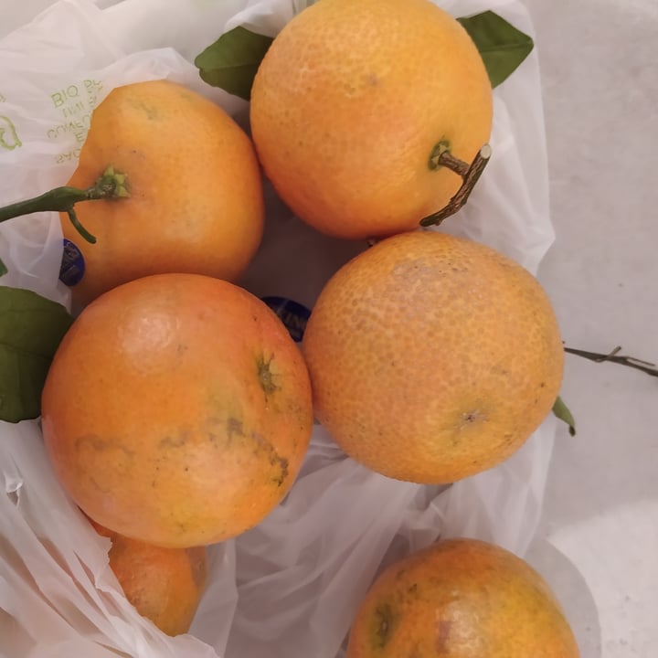 MD Clementine Review abillion