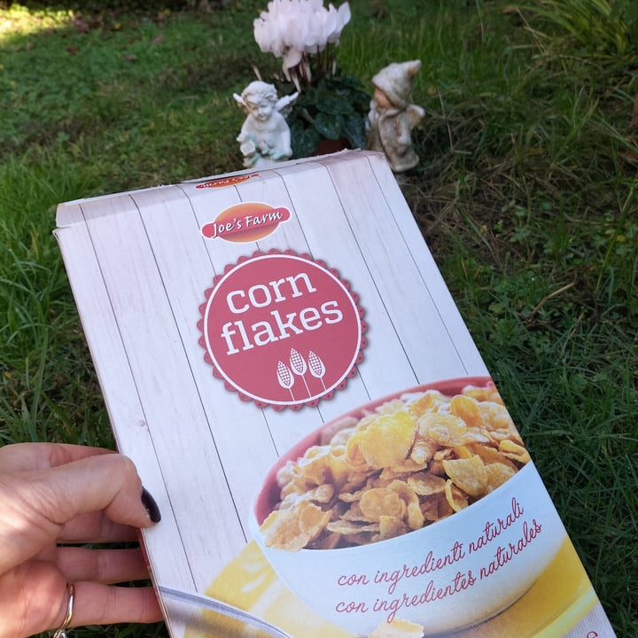 joe’s farm Corn Flakes Review abillion