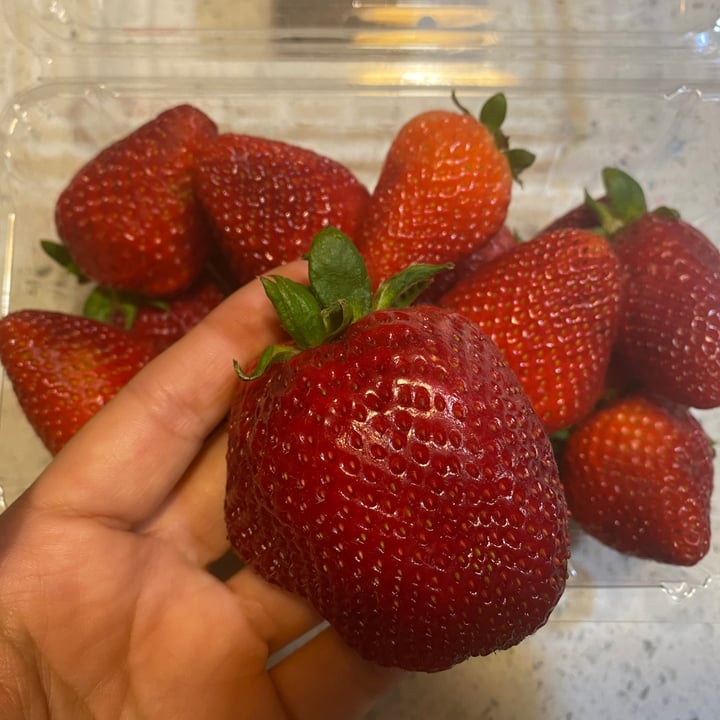 Almar berries Strawberries Review abillion