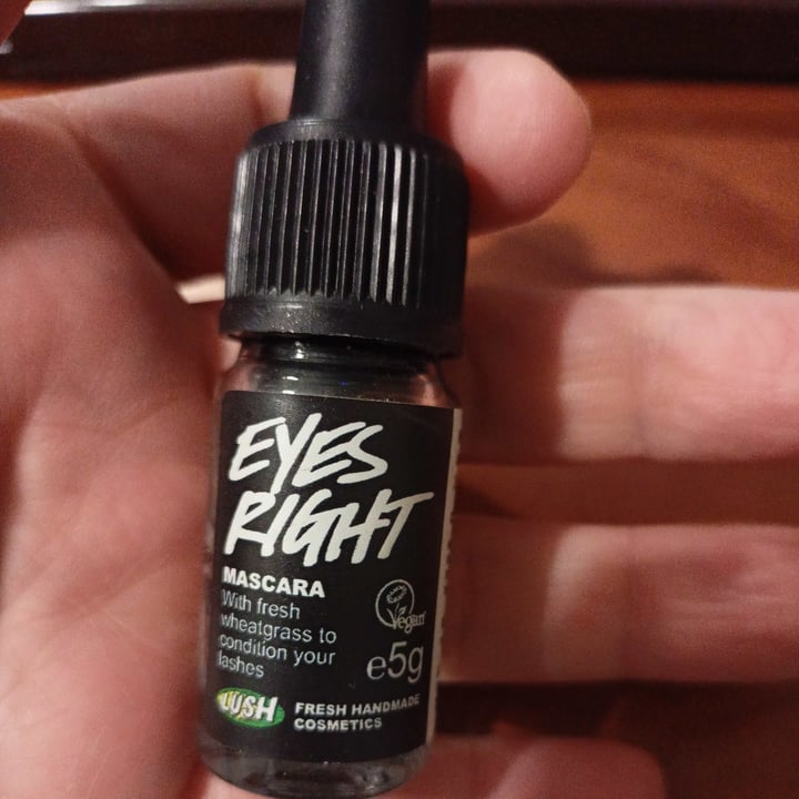LUSH Fresh Handmade Cosmetics Eyes right mascara Review abillion
