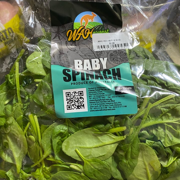 WA Harvest Baby Spinach Review abillion
