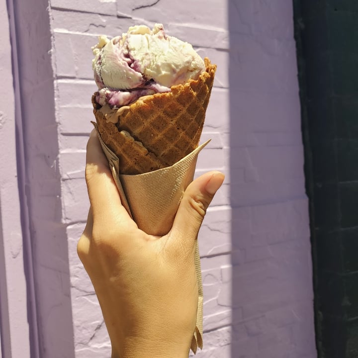 Honey’s Ice Cream Old Toronto, Toronto, Canada Plain Yogurt And Jam Ice Cream Review abillion