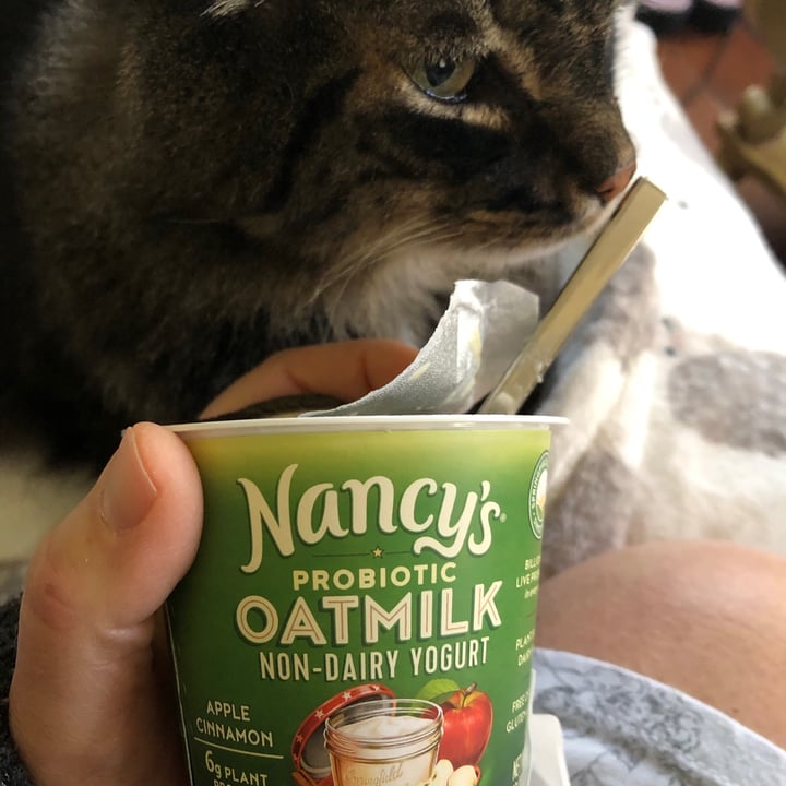 Nancy's Yogurt Probiotic Oatmilk NonDairy Yogurt Apple Cinnamon Review