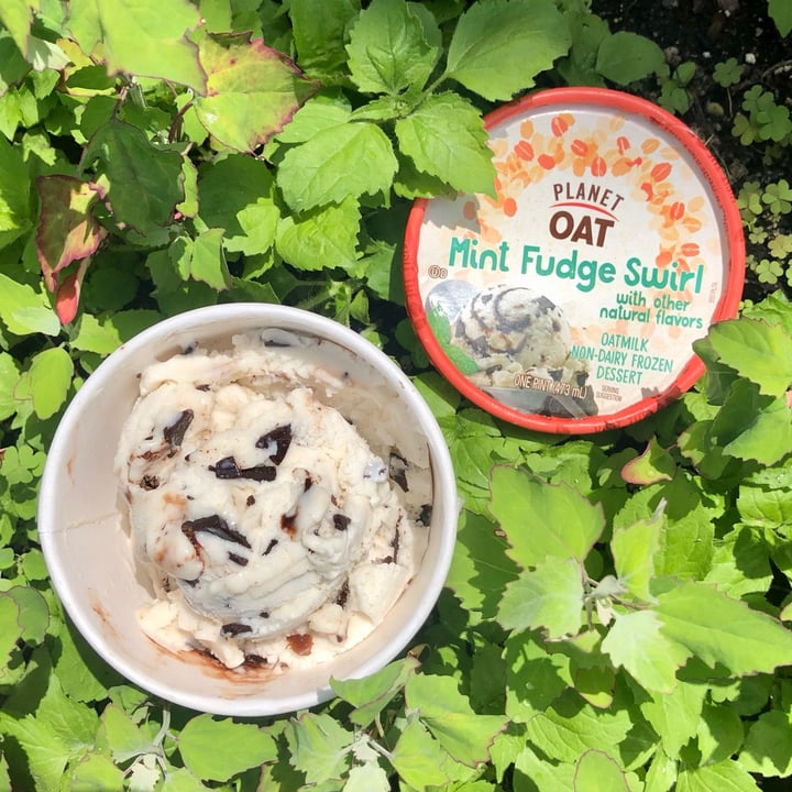 Oat Mint fudge swirl Review abillion