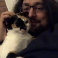 daxvegan @daxvegan profile image