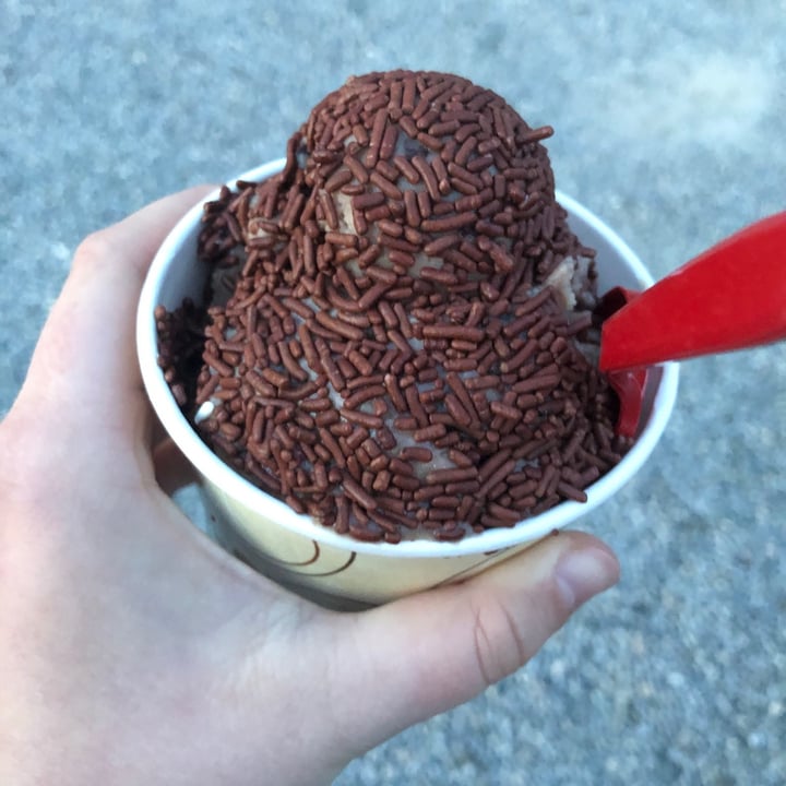 Polar Cub Ice Cream Whitehouse, United States Chocolate Chunk Ice Cream