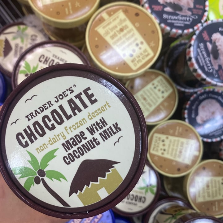 Trader Joe's chocolate coconut milk ice cream Review abillion