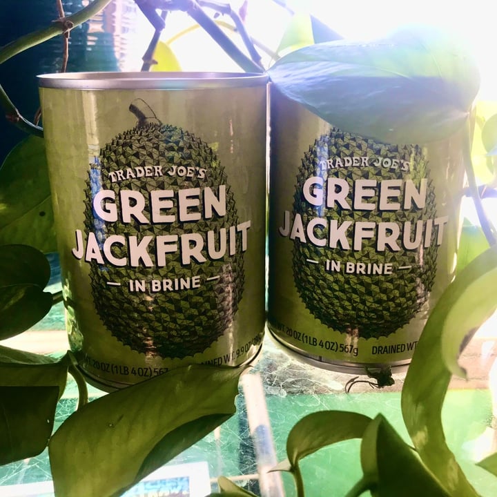 Trader Joe's Green Jackfruit in Brine Review abillion