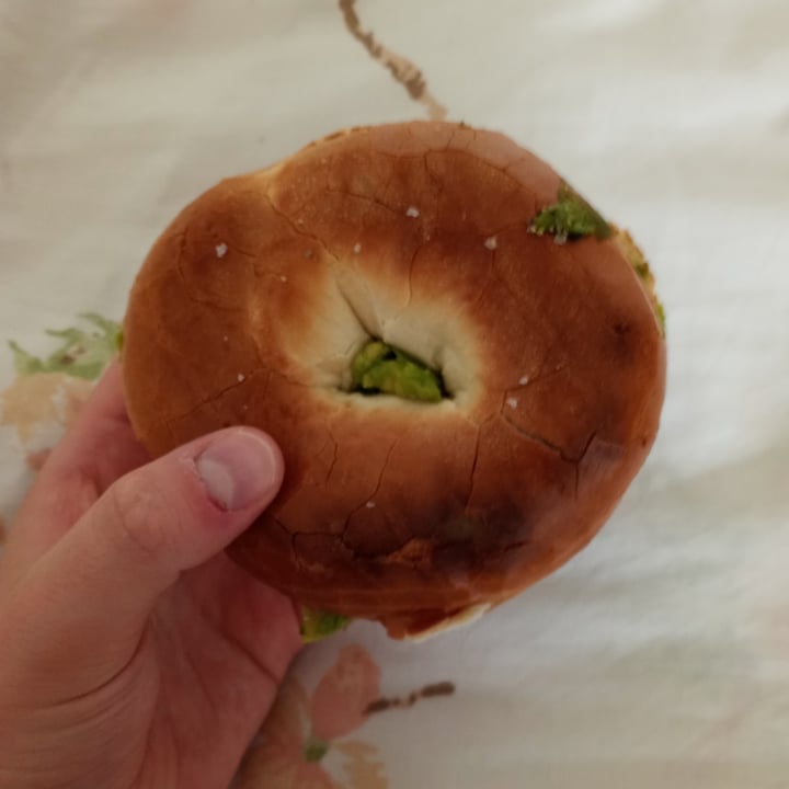 Einstein Bros. Bagels Norman, United States Plain Bagel Review abillion