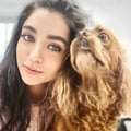 immira @immira profile image