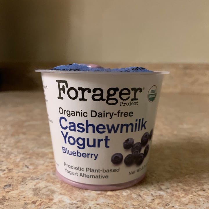Wegmans Forager Cashew milk Blueberry Yogurt Review abillion