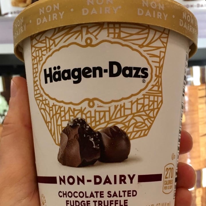 HäagenDazs Chocolate Salted Fudge Truffle Review abillion