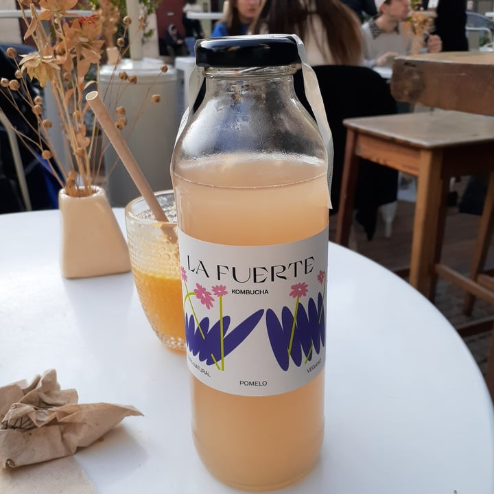 CASA NUEZA Kombucha Pomelo Reviews abillion