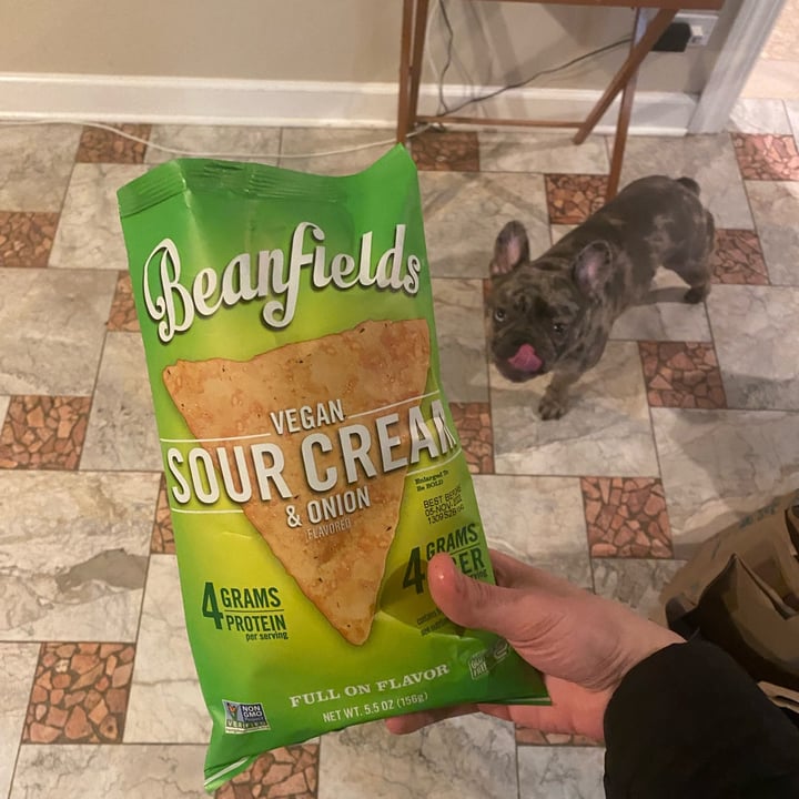 Beanfields Vegan Sour Cream & Onion Chips Review abillion