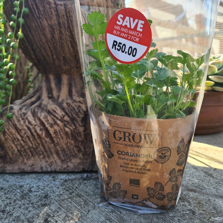 Woolworths Coriander Grow your own Review abillion