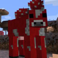fungiforrest @fungiforrest profile image