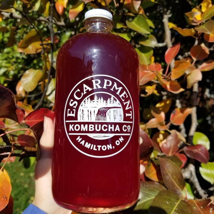 Escarpment Kombucha Blueberry Mint Kombucha Reviews abillion