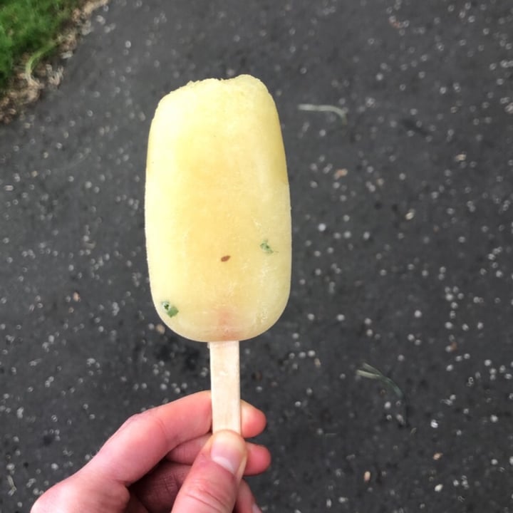 Ohana Pops Spicy Pineapple Paleta Review abillion