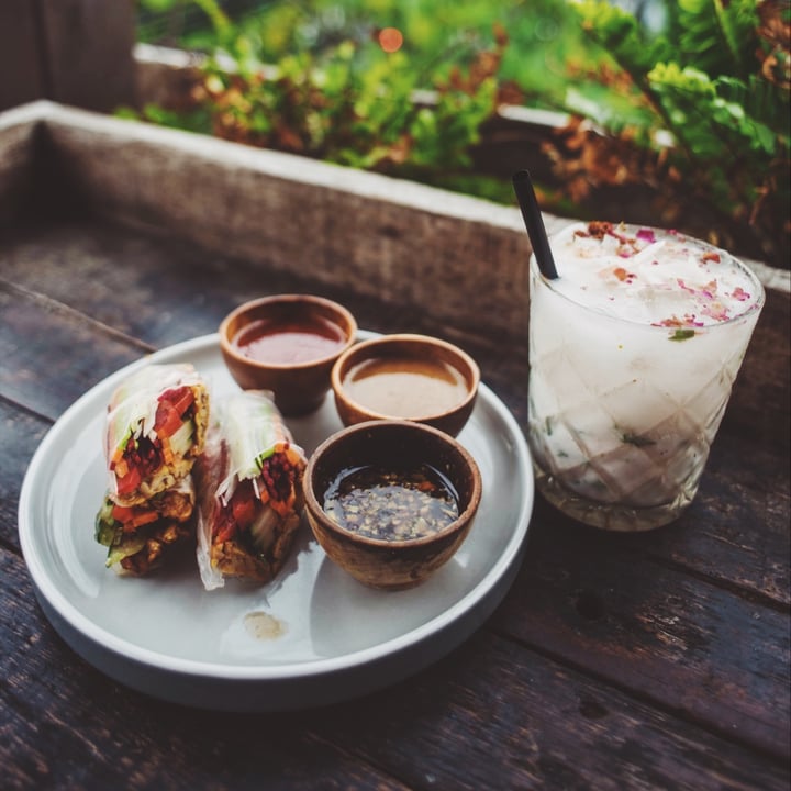 Peloton Supershop Rice Paper Rolls Reviews Abillion peloton-supershop-rice-paper-rolls-reviews-abillion