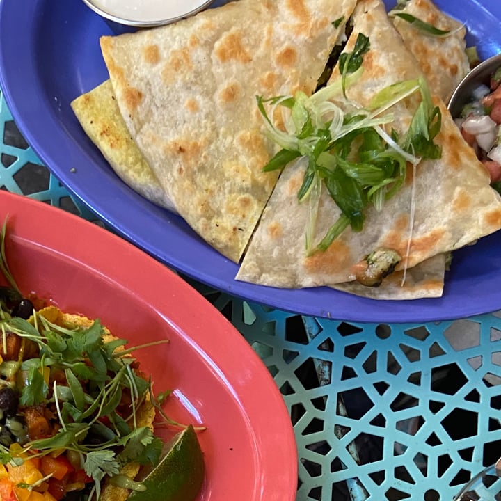 Jajaja Plantas Méxicana Coconut Queso Quesadilla Reviews abillion