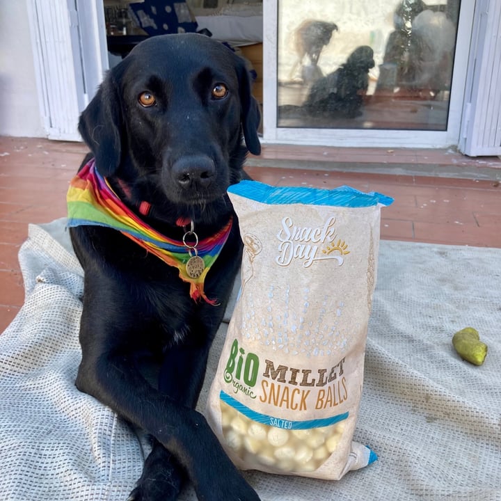 Snack Day Millet snack balls salted Reviews abillion