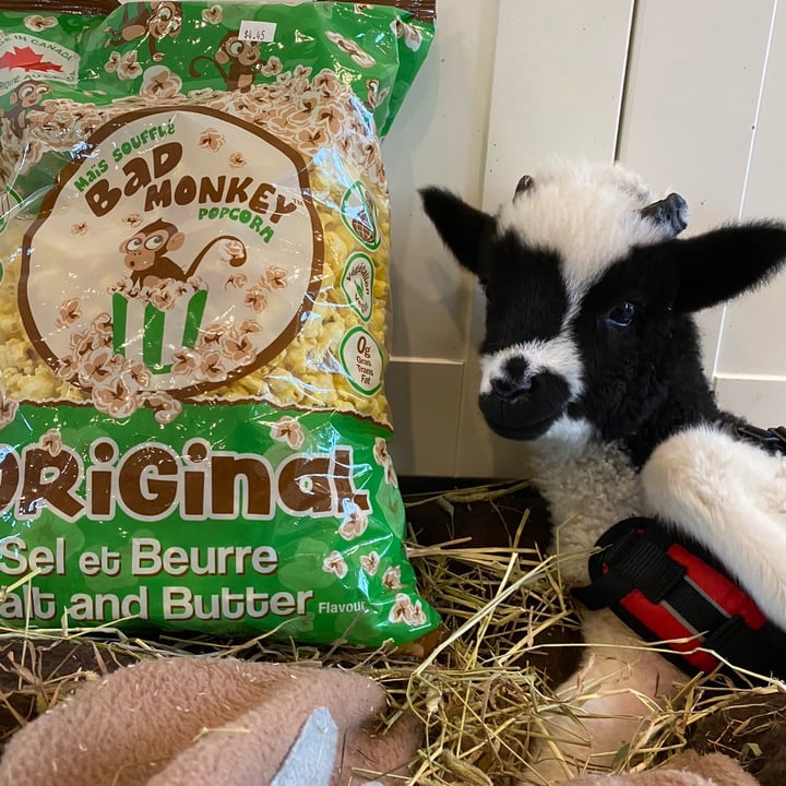 Bad Monkey Popcorn Salt And Butter Review abillion