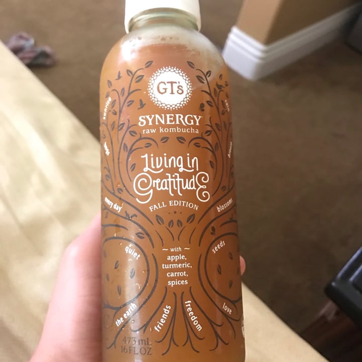 GT’s Living Foods Living in Gratitude Kombucha Review abillion