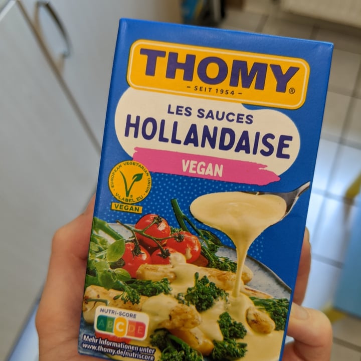 Thomy Sauce Hollandaise Review abillion