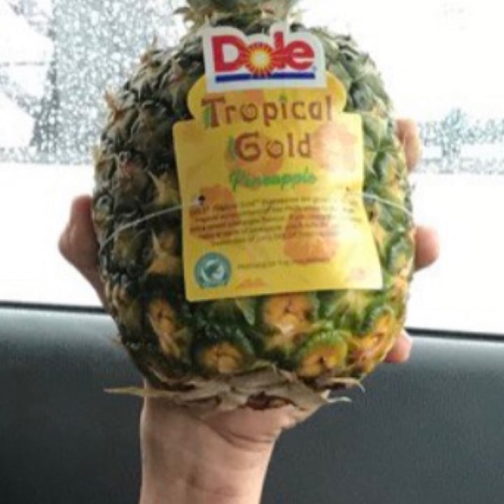 Dole Tropical Gold Pineapple Review abillion
