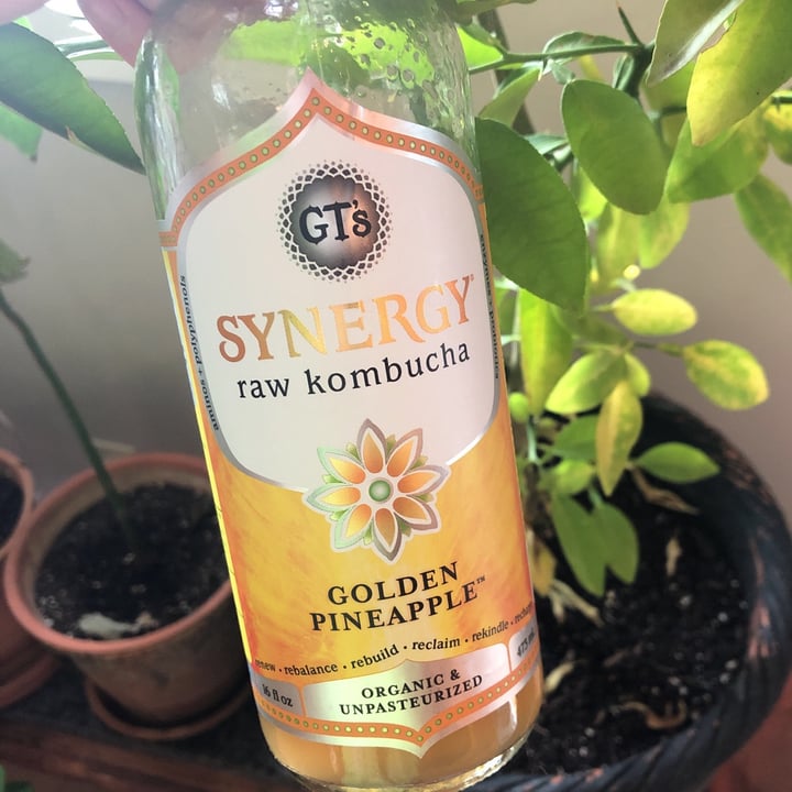 GT’s Living Foods Golden Pineapple Kombucha Review abillion