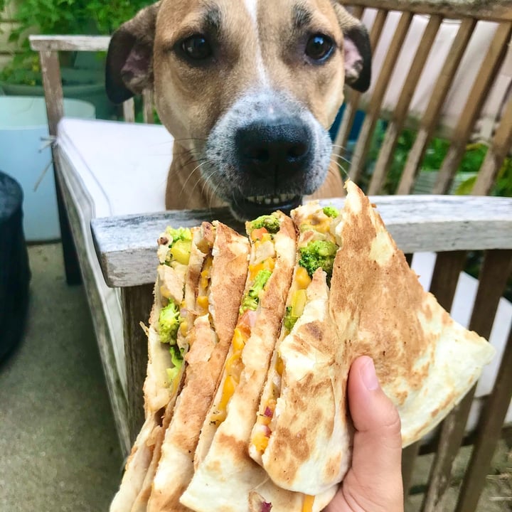 The Little Kitchen United States Broccoli cheddar chicken quesadilla