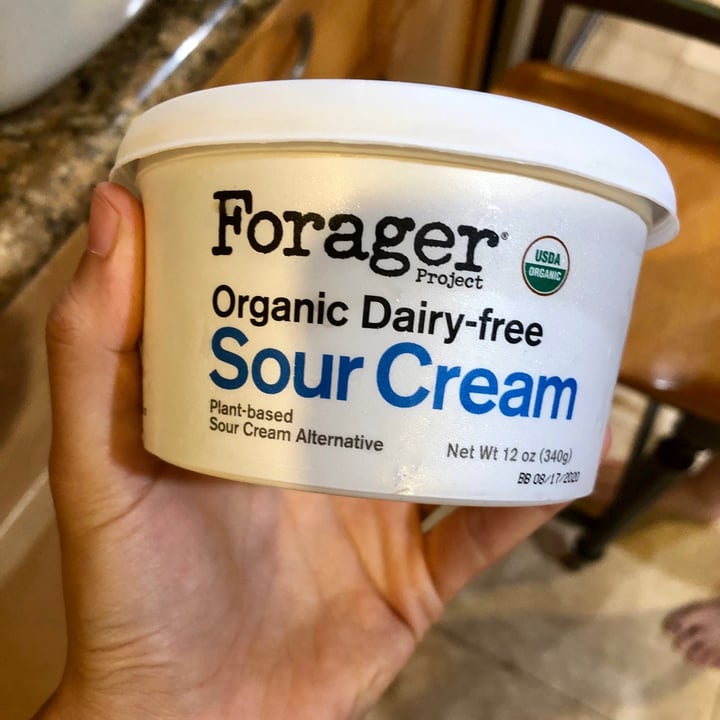 Forager Project Organic Dairyfree Sour Cream Review abillion