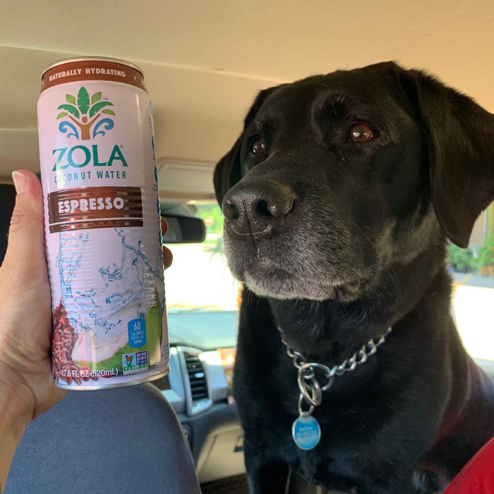 Zola Coconut Water Espresso Review abillion