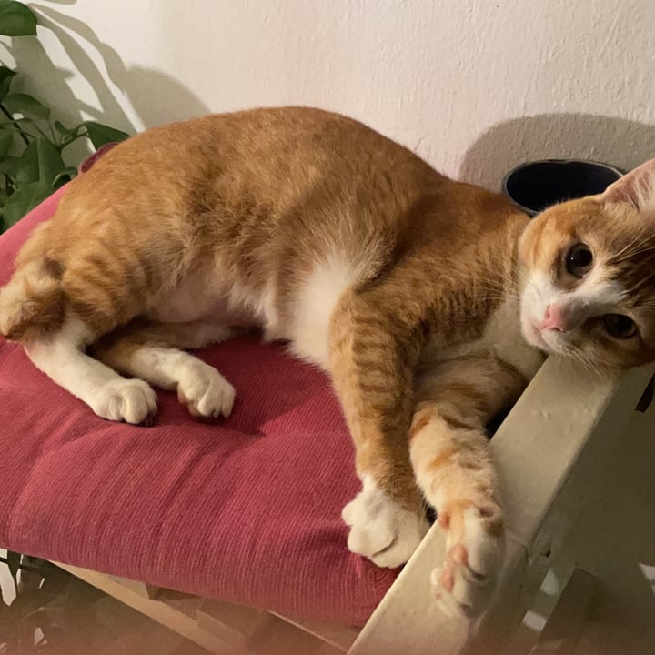 review photo shared by @lindajazzyjourney on 21 Sep 2021 - post