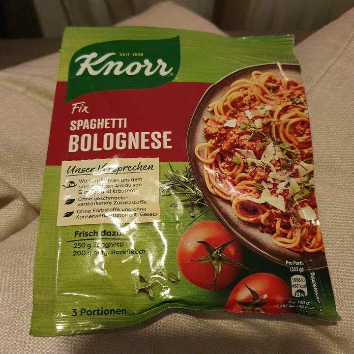 Knorr Bolognese Seasoning Review abillion