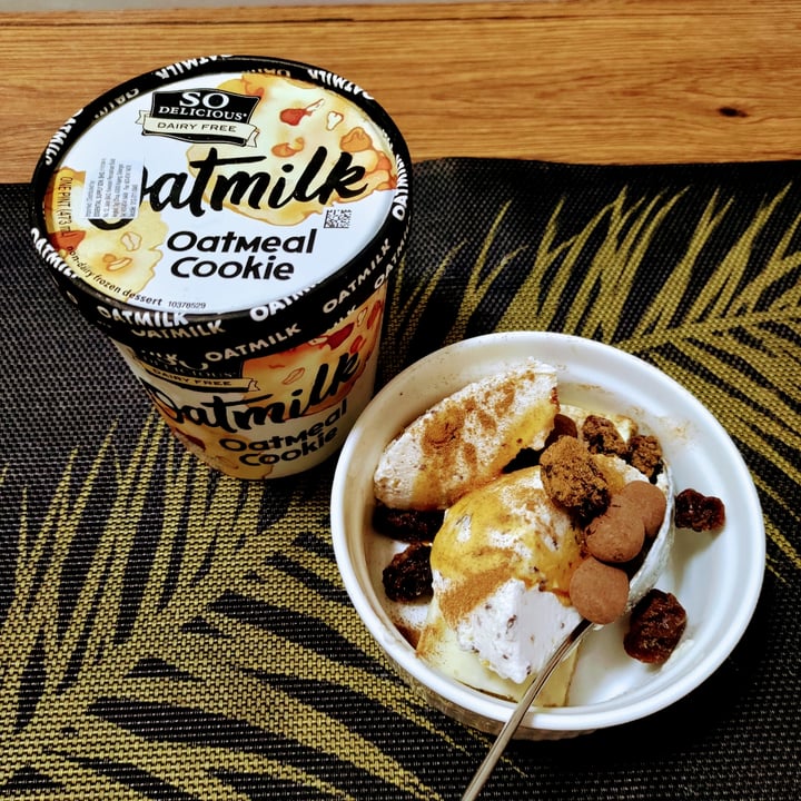So Delicious Dairy Free Oatmilk Oatmeal Cookie Ice Cream Review abillion